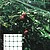 Red Anti-pássaros (Rolo 2,0x10 Metros) Rede Proteger Árvores, Culturas, Frutas. Red Anti-pássaros (Rolo 2,0x10 Metros) - imagem 1