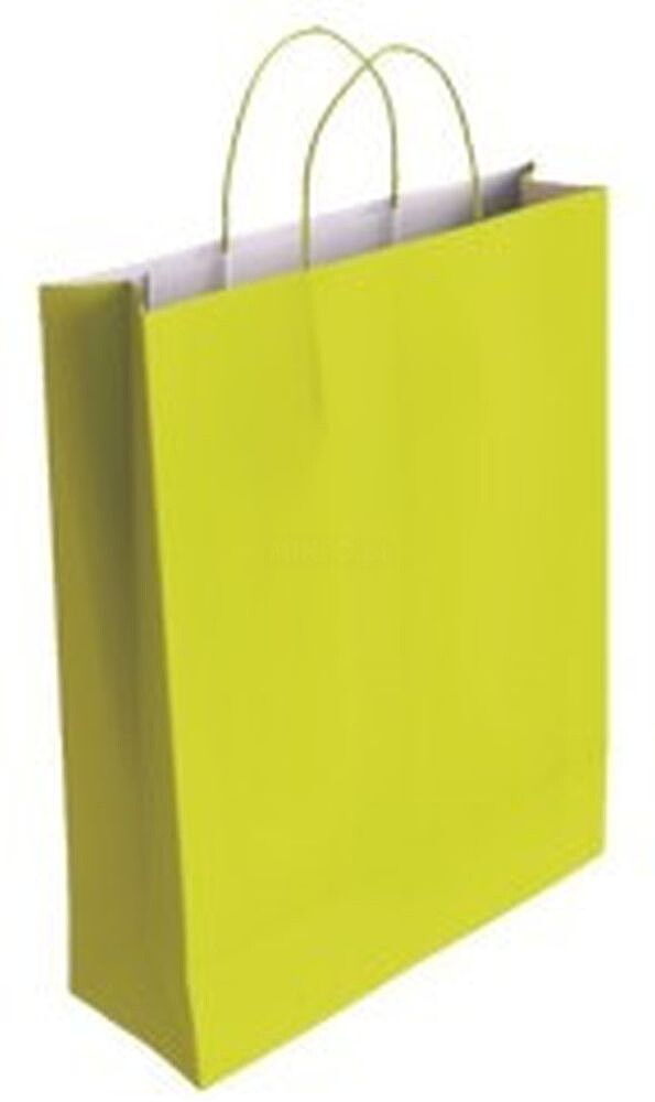 Bolsa Papel com Asas Celulose Pistácio S 24X10X32 cm Bismark 329821