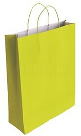 Bolsa Papel com Asas Celulose Pistácio S 24X10X32 cm Bismar...