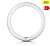 Tubo Fluorescente Circular 40W Trifósforo 840K Philips Ø 40CM 31033 - imagem 1