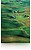 Premium SemiGloss PHOT Paper (250) 60” X 30.5m C13S042133 - imagem 1