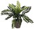 Palmeira Sago (Cyca Revoluta) PVC com Copo Cinza 83355 - imagem 1