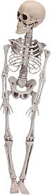FIGURA ESQUELETO HALLOWEEN 42CM 71992 FIGURA DE ESQUELETO PA...
