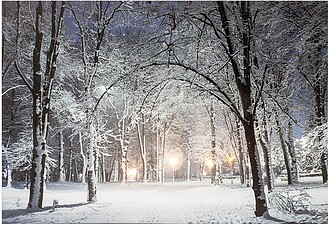 G-72139 : 72139 QUADRO LED PAISAGENS NEVADAS 38x58x1,5CM 6 L...