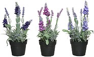 Planta Artificial Lavanda Cores Sortidas 83394