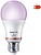Lâmpada LED Standard E27 8,5W Cores Completas WIFI Wiz Philips G-93200 - imagem 1