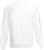 Sweatshirt Fruit of the Loon Classic Raglan Adulto - imagem 2