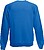 Sweatshirt Fruit of the Loon Classic Raglan Adulto - imagem 2
