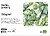 5 x Bloco de desenho liderpapel verona colado folio 20 folhas branco creme Bloco de desenho liderpapel verona colado folio 20 folhas branco creme DA02 - imagem 2