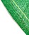 Manto para Colheita Verde Azeitona 4x8m G-75110 - imagem 2