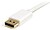 Cable 2M Mini DISPLAYPORT DP - imagem 3