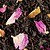 Chá Lata Thé Aux Sept Parfums Nº 17 Dammann 100gr - imagem 3