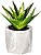 Planta Decorativa com Copo 7X14CM Modelos Surtidos - imagem 3