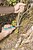Faca de Exterior com Estuche 4086000 Wolfcraft G-82711 : 82711 - imagem 3