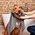 Toalha Microfibras Pet Pro XL 65x100cm Vileda Toalha Microfibras Pet Pro XL 65x100cm Vileda - imagem 3