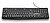 NGS Funky V4 Teclado USB - QWERTY Português - 12 Teclas Multimédia - Teclas de Membrana Silenciosas - Inclinação Ajustável - Cabo 1.5m - Cor Preto FUNKYV4ITALIAN - imagem 3