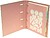Dossier A4 LACES Rosa c/Recarga Pautado + Separadores 1un 170129212 - imagem 4