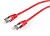 Cavo Vermelho Gembird Ftp CAT6 0,5M Vermelho PP6-0.5M/R - imagem 4
