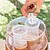 Dispensador de Bebidas Refrigerante Freer INNOVAGOODS G-07240 - 07240 V0103462 - imagem 5