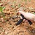 Plantador Jardin ABS Plantador Jardin ABS - imagem 6