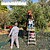 Mantas Azeitona 5 x 10 Metros. Multiusos 100% Hdpe Gramagem 90 Gr/m2. Reforçada, Com Ilhós, Mantos Azeitona, Fardos Azeitona, Mantas Azeitona 5 x 10 Metros. 100% Hdpe Gramagem 90 Gr/m2. Multiusos - imagem 7