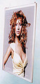 Expositor interior FARO - SIMPLES (500x707mm)