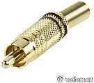 Ficha RCA macho - Ouro (preta) G-CA048B