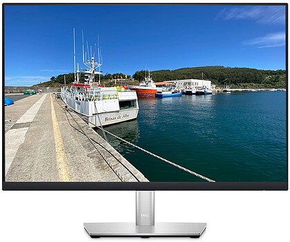 Monitor 23.8” Dell P2423 - Recondicionado