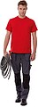 T-SHIRT PERFECT PRO 185 g/m² Colors S to 4XL pag.288/16