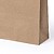 Saco Asa Torcida Kraft 22x23x11 : 100g/m2 Cention 5483 - imagem 3