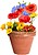 Cápsula Sementes Biyok Cartão Reciclado Flores silvestres 2642 - imagem 4
