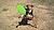 Frisbee Watson Poliéster Dobrável 9156 - imagem 4