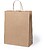 Saco Asa Torcida Kraft 25x31x11 : 100g/m2 Loiles 5484 - imagem 1