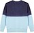Sweatshirt Adulto Truyi 100% Algodão 280 g/ m2 8013 - imagem 1
