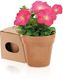 Vaso Advert Vaso Biodegradável Flores Cores Sortidas. 5-8 ...