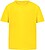 T-Shirt Criança Cor Seiyo 100% Algodão Ring Spun, Single Jersey 160 g/ m2 21142 - imagem 1