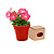 Vaso Advert : Pag 198/11 - imagem 1