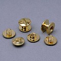 Parafusos Metálico 10mm Niquelado Dourado P10D