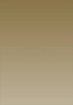 Rolo Papel Embrulho : Liso Dourado : Papel Branco ( Preço p/Folha Fornecido Multiplos de 500 )