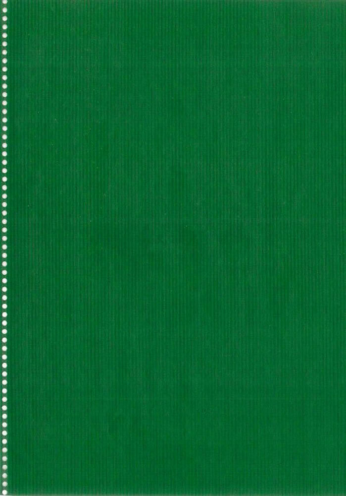 Rolo Papel Embrulho : Liso Verde : Papel Kraft : Rolo 35cm ( 4kg )