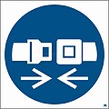 Usar Cinto de Segurança